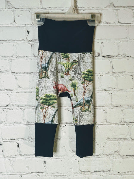 Front: Gray background with colorful dinosaurs and landscape. Navy blue waist band and leg bands extended for larger size.