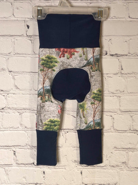 Back: Gray background with colorful dinosaurs and landscape. Navy blue waist band and leg bands extended for larger size. Matching navy blue bum circle.